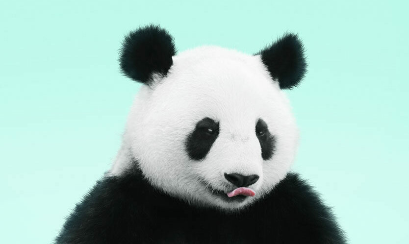 Panda uutuudet