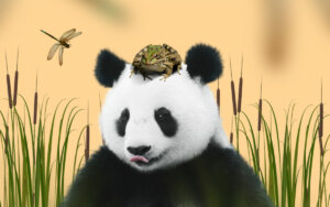 Panda vastuullisuus