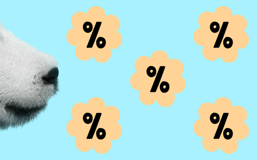 Panda makeismyynti