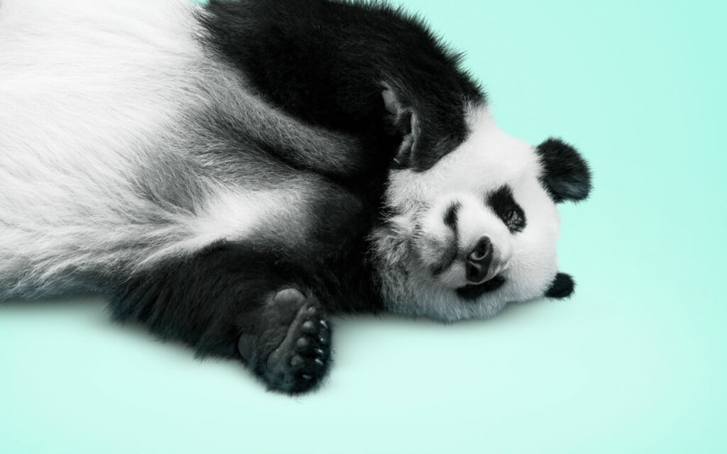 Panda vastuullisuus
